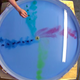 Illustration for article titled Does Water Really Swirl Differently in Australia? YouTube Stars Find Out